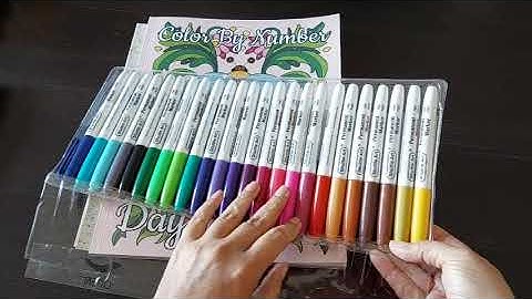 TEST AND REVIEW SHUTTLE ART PERMANENT MARKERS - INDIAN COLOURIST