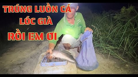 TẬP.66.trúng luồn cá lóc già rồi em ơi/hành trình tìm điểm cắm câu vùng biên giới campuchia