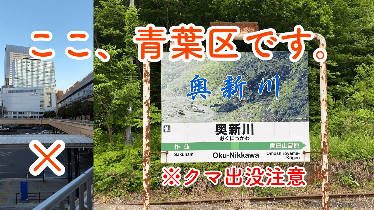 【秘境駅】​仙台駅から50分で文明消失。クマしかいない「奥新川駅」で癒される旅 A Healing Journey to Okunikkawa Station Where Only Bear Roam