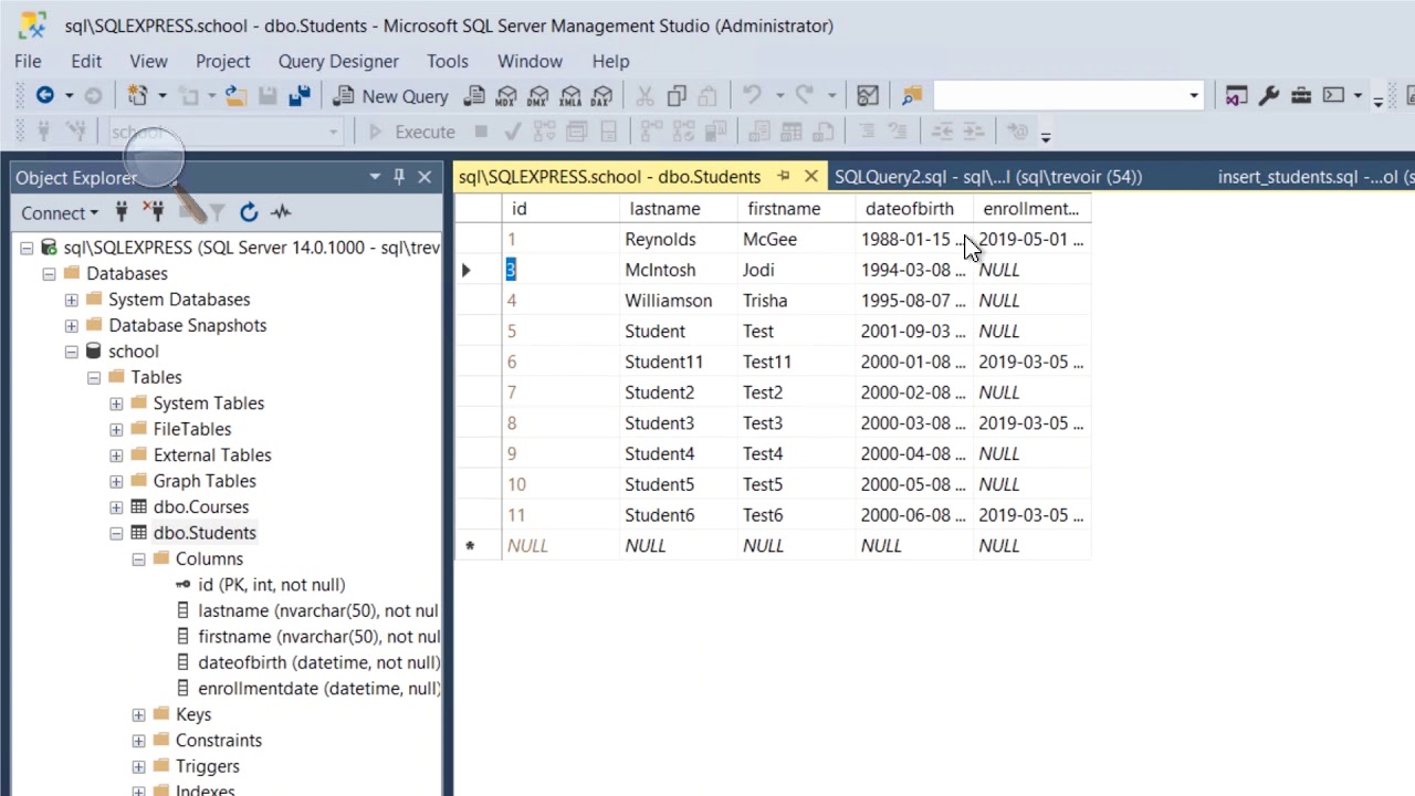 Top 41+ imagen microsoft sql server management studio add data to table