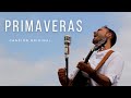 Primaveras | Lo que pienso, lo que soy, mis miedos...en una canción |