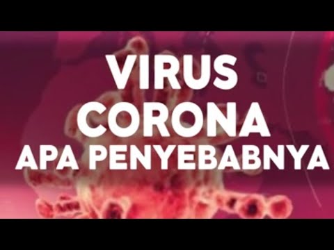 virus-corona-apa-penyebabnya?