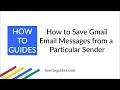 How to Save Gmail Email Messages from a Particular Sender | Filter by Email ID - How.ToGuides.com