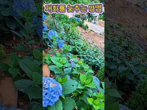 6월에 한번더 해보세요