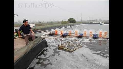 NGƯỜI NÔNG DÂN VIỆT NAM ĐẦU TIÊN THUẦN HÓA CÁ VƯỢC