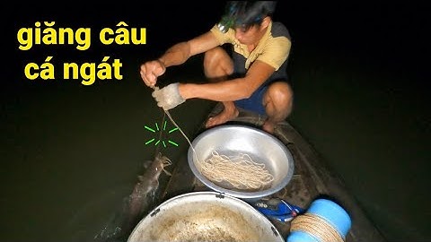 Liêm Tài Xế  Đã Trở Lại, Giăng Đường Câu Trúng Ổ Cá Ngát #66TV #sănbắtđồngtháp #mekongriverfish