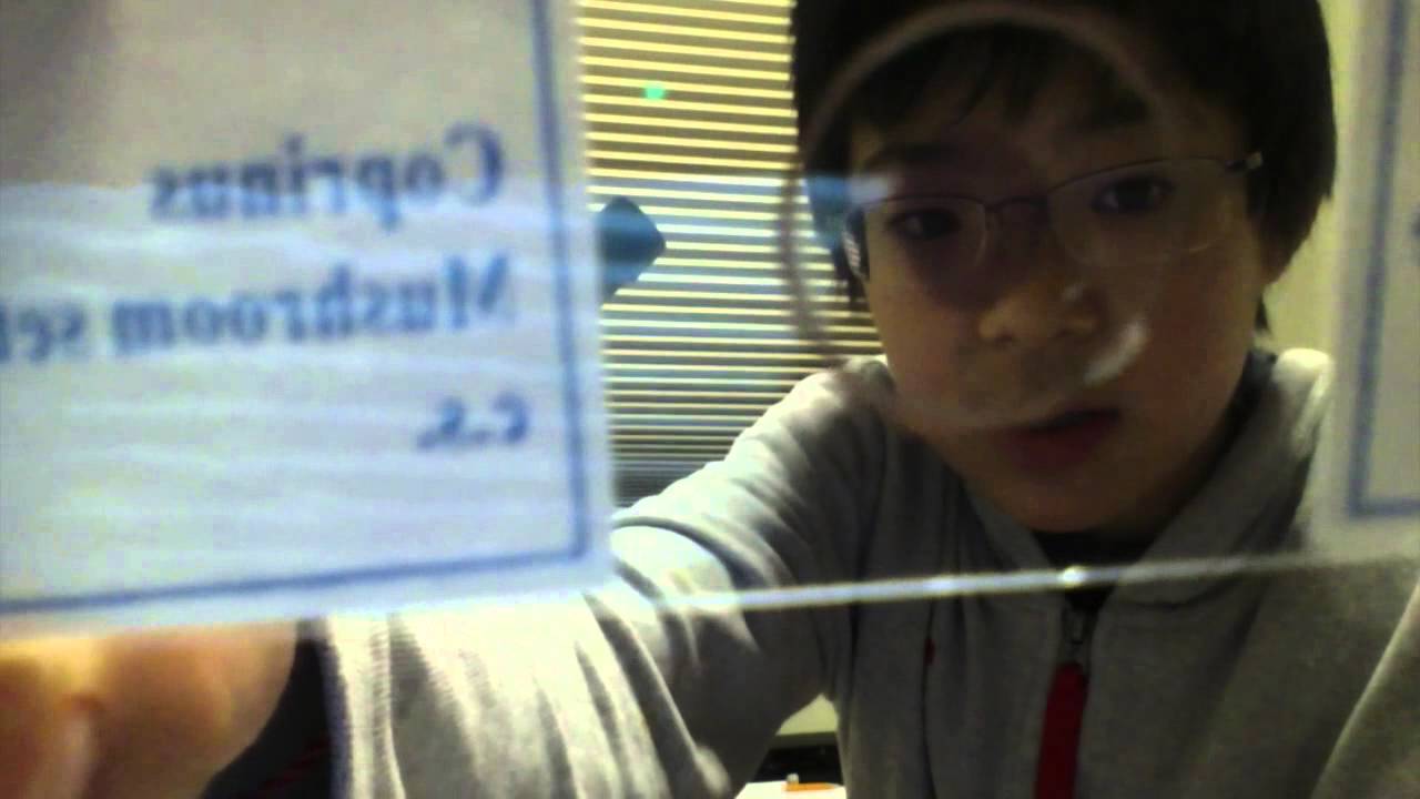 AmScope Microscope Review