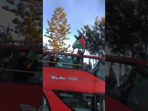 ارتفع يا علم فلسطين