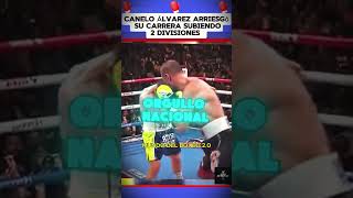 Canelo Álvarez arriesgó su carrera subiendo 2 divisiones #boxeo #boxing #box