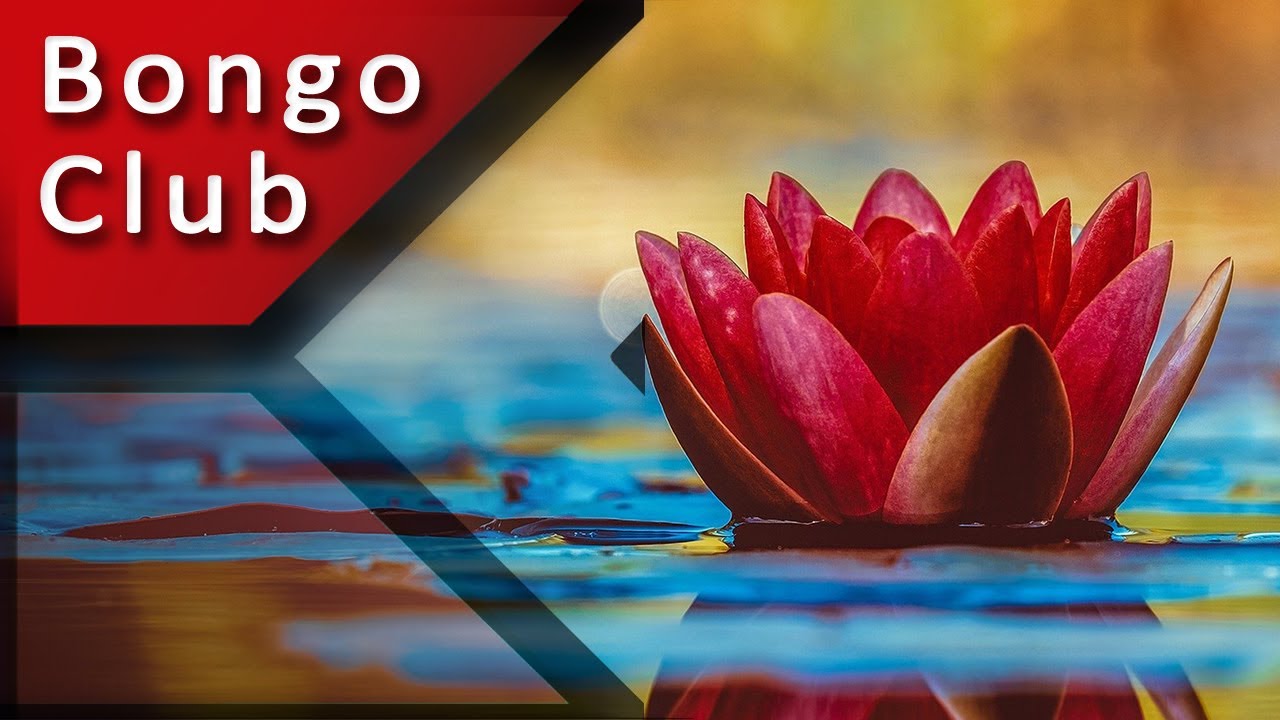 ZEN Balance MUSIC 2 Hours B.C.