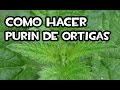 Cómo Hacer el Purin de Ortigas | Paso a Paso