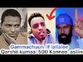 Sagantaa Gargarsaa Ustaaz Anaas Mohammad Irrattii Obboleysoi Kenyaa Tokko Ricordi Cabsee Sagantaa Gargarsaa Ustaaz Anaas Mohammad Irrattii Obboleysoi Kenyaa Tokko Ricordi Cabsee