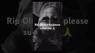 #olivetree #olivetrees #fyp olive tree song olive tree rip #shakira #shakirawakawaka