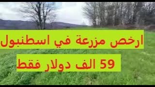 ارخص مزرعة للبيع في اسطنبول|| تركيا