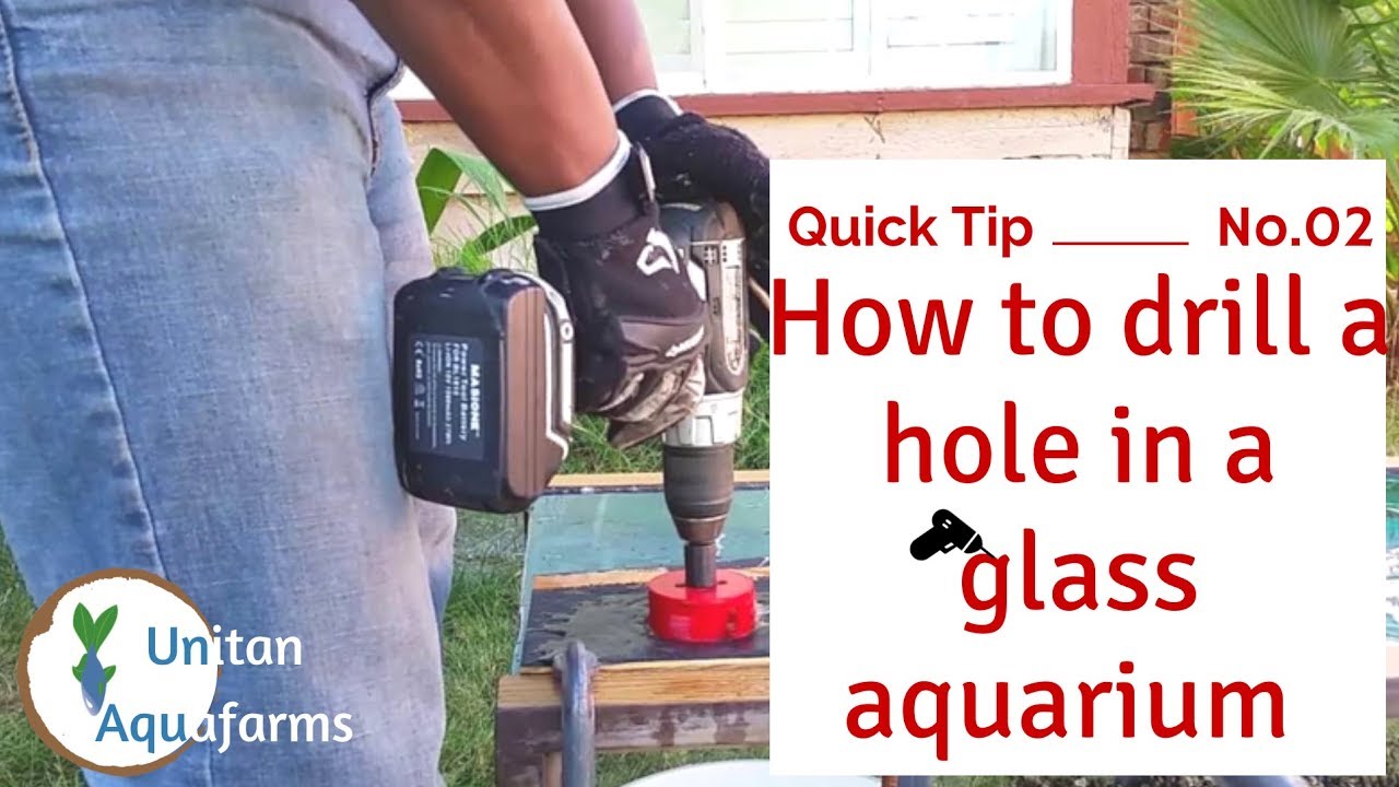 How to Drill a hole in a glass Aquarium YouTube