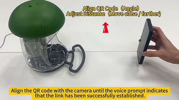 How to Set Up the LONA C1 Smart Bird Feeder with Camera | Step-by-Step Installation Guide