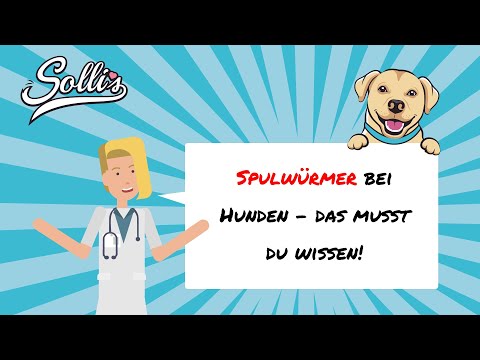 Video: Hunde-Spulwürmer: Ursachen, Anzeichen und Behandlung