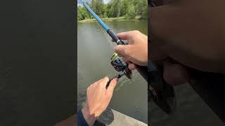 Як ловити рибу #fishing #sweden #як #ловить #рибу #форель