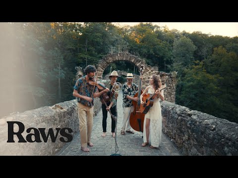 Sweet Potato Vine – Musique Bluegrass, Country