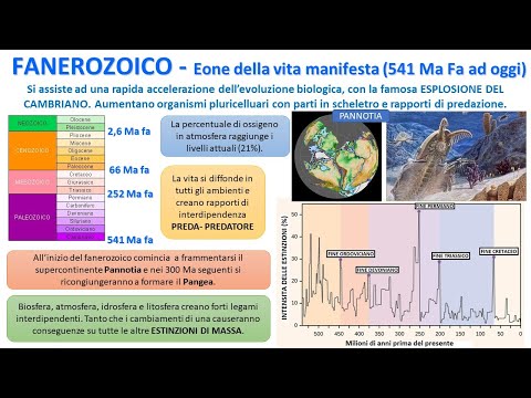 Video: Cosa significa fanerozoico in greco?