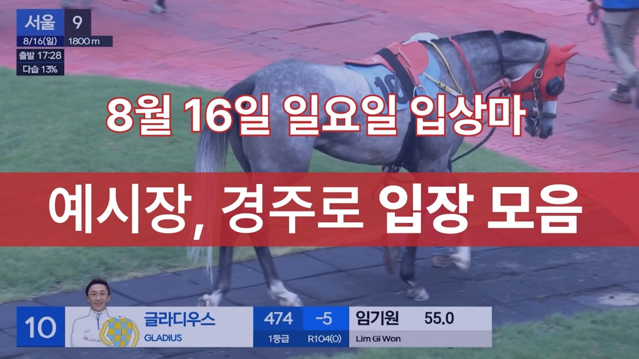 [8월 16일 일요일 입상마] 예시장, 경주로 입장 모음