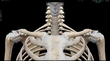 VB Suite Accessibility Mode: Dissect 3D Models and Structures