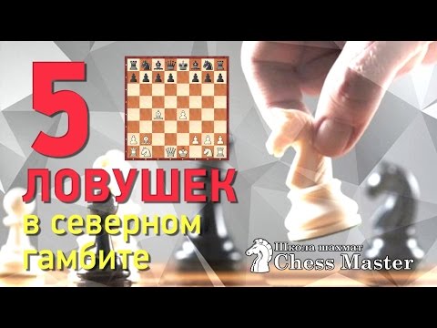 Шахматы. 5 дебютных ловушек в Северном гамбите за белых