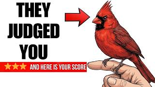 Your Birds Have Already Rated You — And Here Is Your Score