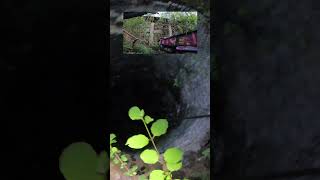 Cocking Lime Works look around #short #shorts