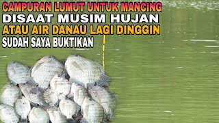 Campuran Lumut Yang Cocok Untuk Mancing Nila Di Musim Hujan Atau air Lagi Dingin || UMPAN JITU