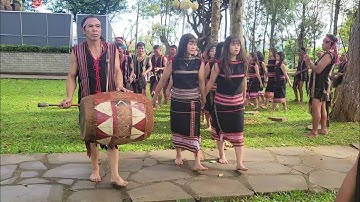 Đội cồng chiêng đến từ làng Mrong Yaly. Nghe rất tuyệt vời ❤️