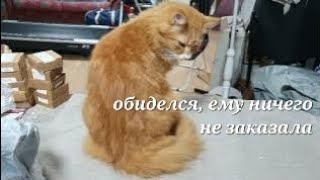 видео: Посылки с Тему. Распаковка. Нужные нужности и красивые красивости.Крючки, полотенце, пакеты и прочее картинка: Посылки с Тему. Распаковка. Нужные нужности и красивые красивости.Крючки, полотенце, пакеты и прочее