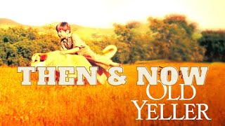 Old Yeller (1957) - Then and Now (2021)