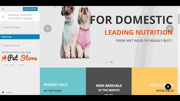 How To Edit Sticky Menu Settings From Theme Customizer