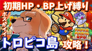 【ペーパーマリオRPG #5】道中よりはボスが印象に残ってる【Vtuber/星戌セン/#vtuber #ペーパーマリオRPG】