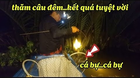 Cắm câu đêm  - dính đủ cá lóc, cá trê, cá rô.. #cắmcâu #camcau #cắmcâucálóc