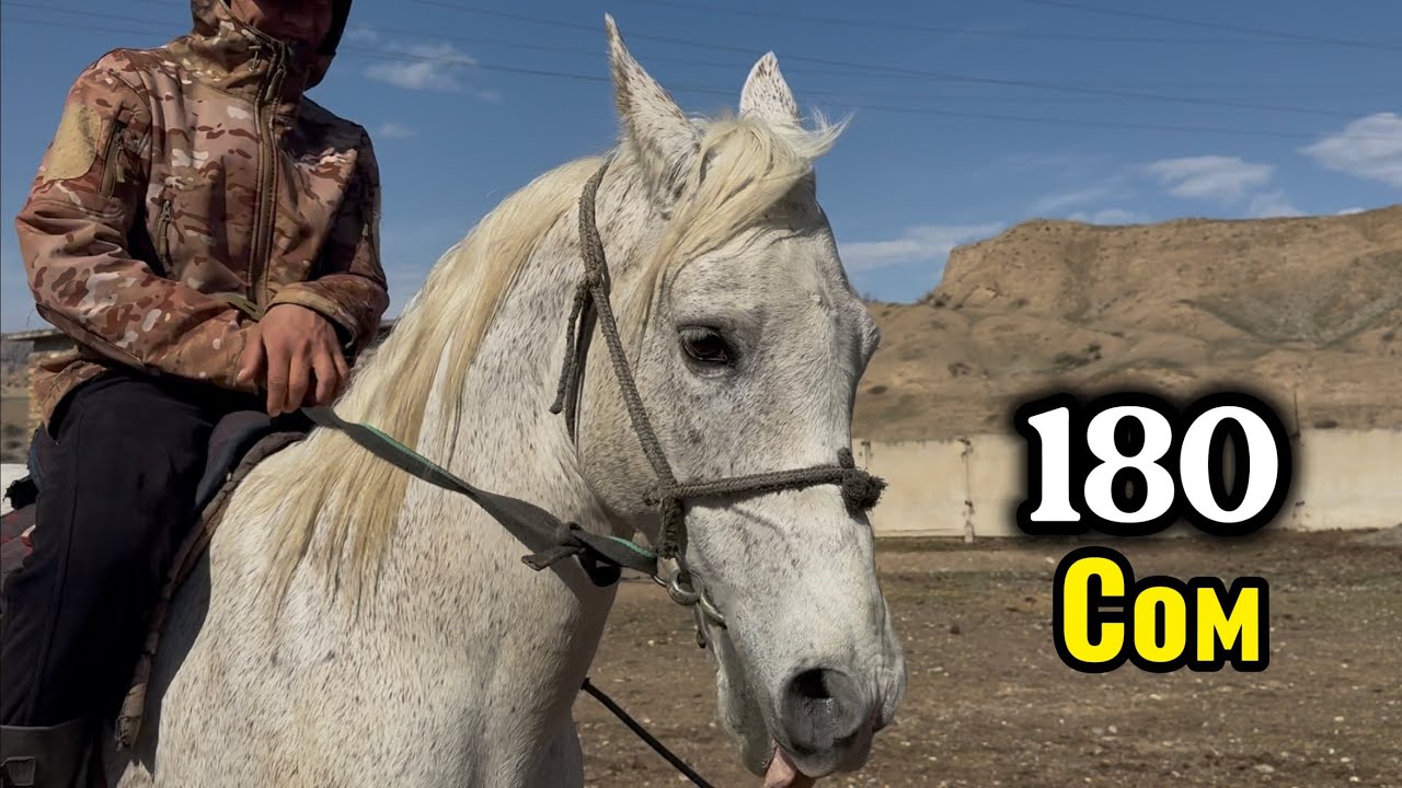 Арзан чыкты 10 марта 2026 г.