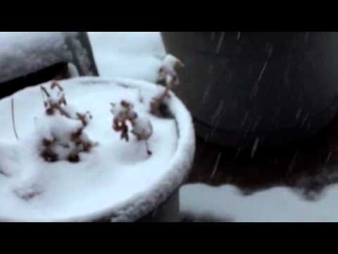 Ghosts Giving Up On You - Memoirs In Drifting Snow