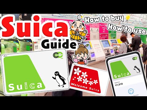 Video: Co je suica a pasmo?