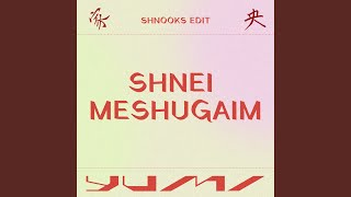 Shnei Meshugaim (shnooks Edit)