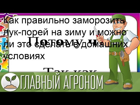 Как правильно заморозить лук-порей на зиму и можно ли это сделать в домашних условиях