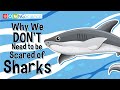 Shark Conservation and Biology