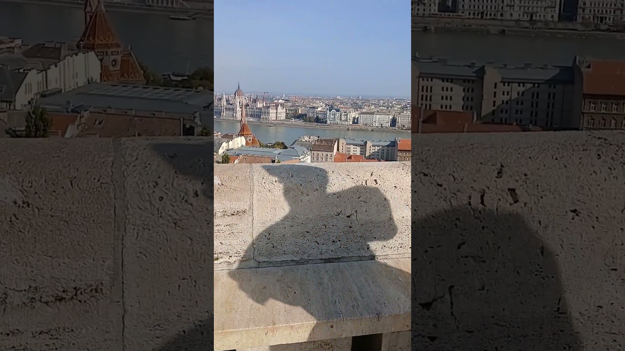 Mesmerizing Accordion Performance | Street Music That Touches the Soul