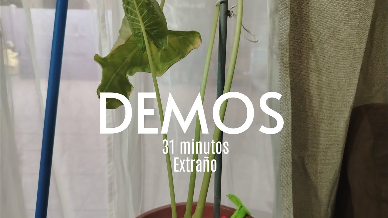homónimo-demos/31 minutos extraño 