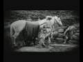 Capture de la vidéo Los Nibelungos (Film: Fritz Lang, Mus.: Jorge Taramasco)