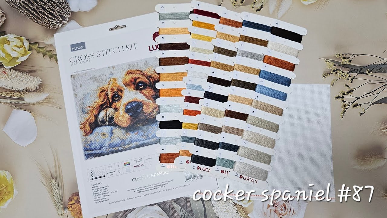 flosstube -stitch with me : cocker spaniel by luca-s #87