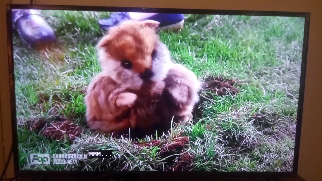 Caddyshack II Gopher Falling In Love Ending Scene YouTube Caddyshack II Gopher Falling In Love Ending Scene YouTube
