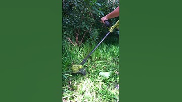 Trim with Precision: Harness the Power of String Trimmers! ✂🎯