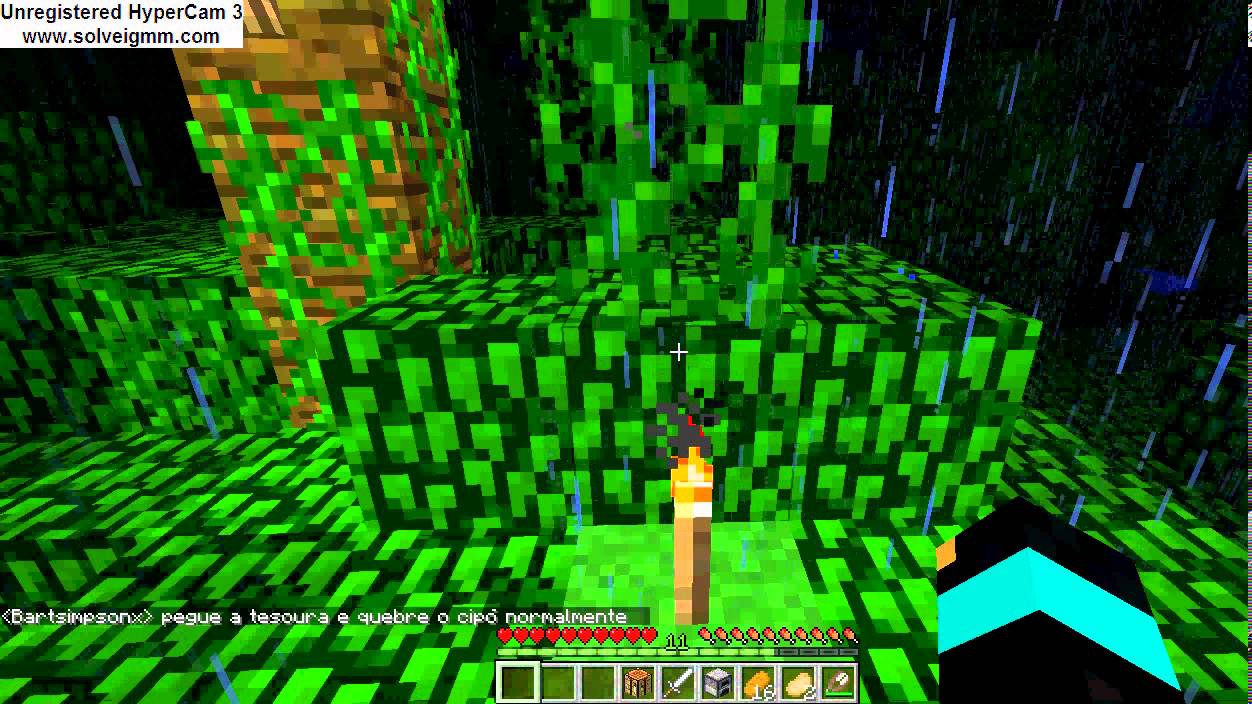 Curiosidade Minecraft- Vinhas(cipó)Folhas de arvore - YouTube