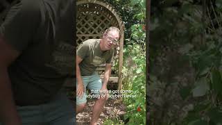 Aphids? No Problem These Guys Have You Covered